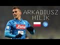 ARKADIUSZ MILIK - Lethal Goals, Skills, Assists, Aerial Duels - SSC Napoli & Poland - 2018/2019