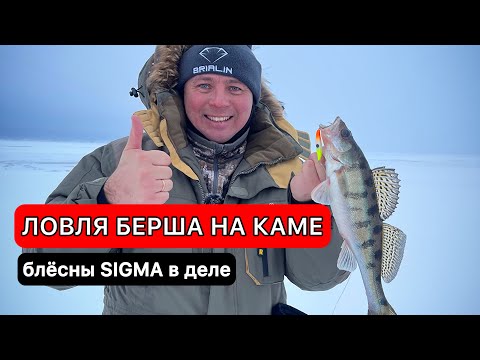 Winter Ice Fishing for Volga Zander. Revealing All the Secrets!