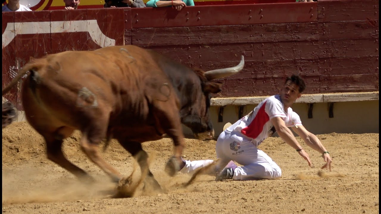 Final Campeonato de España de Recortadores con Toros 2024 - Castellón (30-03-25)