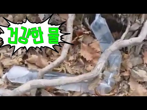 위장병에좋은 다래나무수액