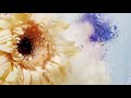 NYK - Anxious (Visualizer) [Ultra Music]