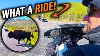 We Rode Harleys Through Yellowstone! | USA 2026 Part 5