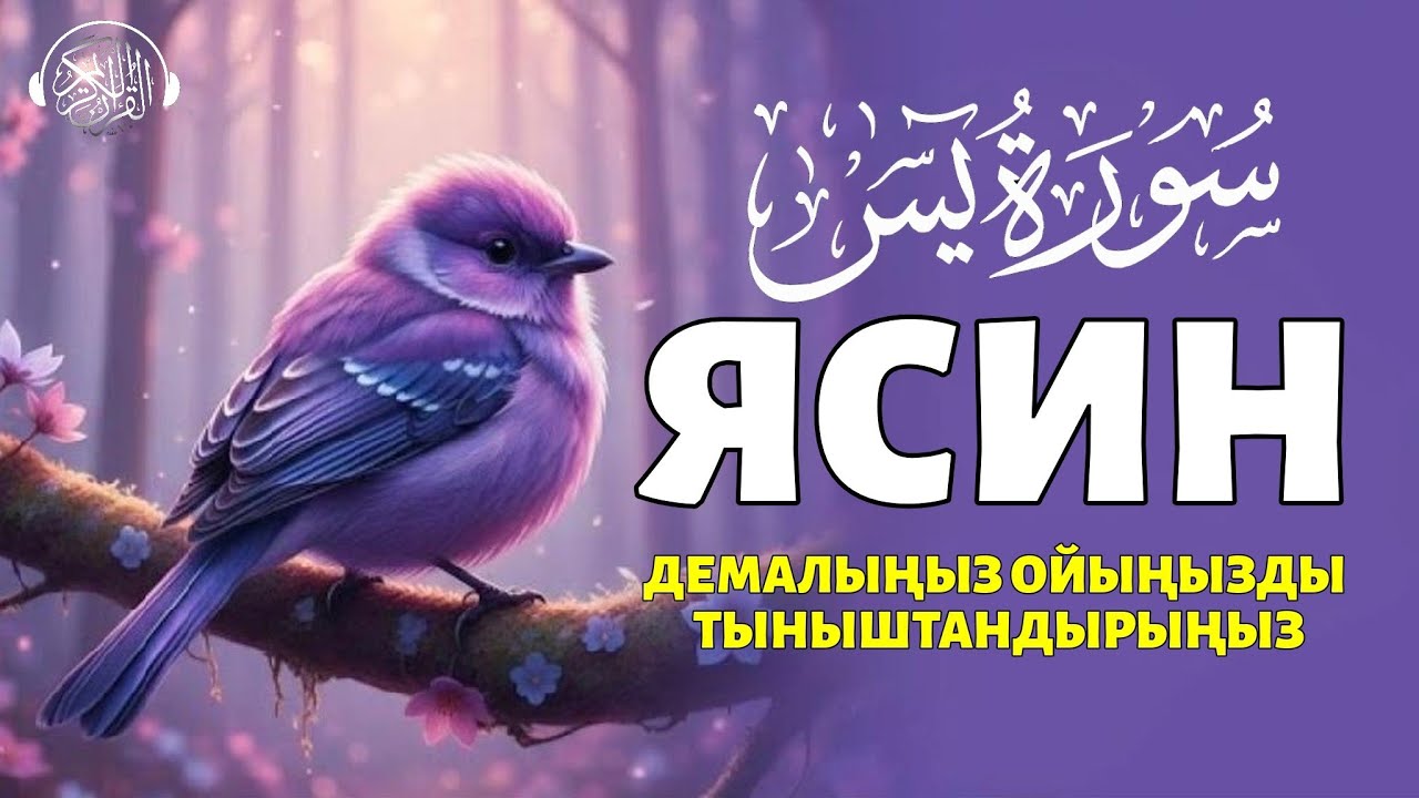 Ясин сүресі, Таңертең кешке тыңдаңыз! Quran Suresi 