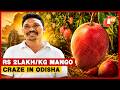 Odisha Farmer Grows World’s Costliest Miyazaki Mango Worth Rs 2 Lakh/Kg