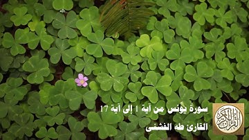 طه الفشني - سورة يونس من آية ١ إلى آية ١٧ - الر ۚ تِلْكَ آيَاتُ الْكِتَابِ الْحَكِيمِ