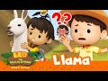 Riding a LLAMA on a DANGEROUS MOUNTAIN?! 🦙 | 30 MIN | Leo the Wildlife Ranger | Kids Cartoons