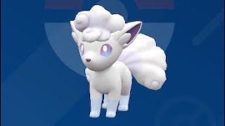 Hatching Shiny Vulpix