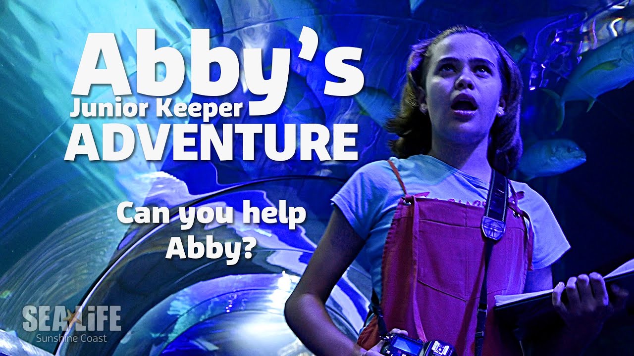 Abbys Adventure Trailer Youtube