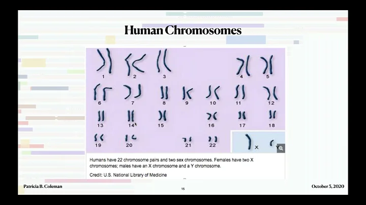 Beginning with DNA Painter_ Chromosome Mapping by ...