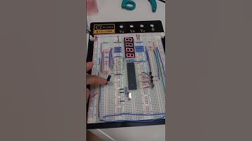 工科113_蔡佳蓁_實驗二基礎題(七段顯示器)