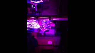 Trenae Monroe Singing Beautiful By Tweet. Nu Id Band Acco