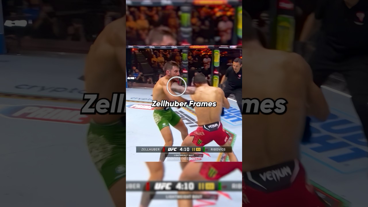 Countering the Blitz in MMA⚡️❌ 