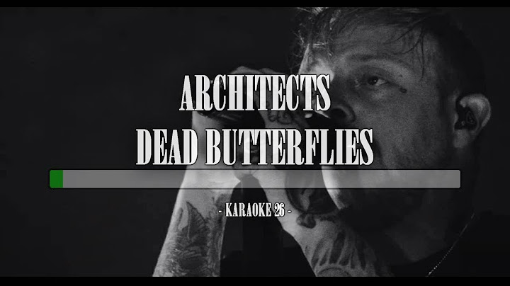 Dead Butterflies Karaoke version - Karaoke performance video thumbnail