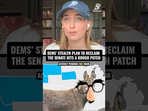 Dems' stealth plan to reclaim the Senate hits a rough patch