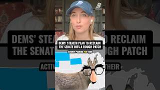 Dems' stealth plan to reclaim the Senate hits a rough patch