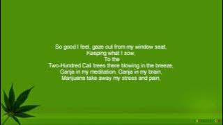 Ras Matthew - Ganja In My Brain (HQ) & Lyrics