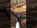 750 Watts!!! Rattan Sequoia Ebike