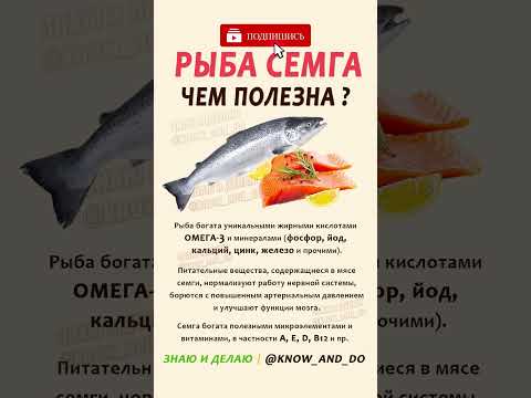 👉 Рыба семга чем полезна? 🐟 Польза и вред от семги #пп #здоровье #кулинария