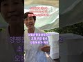 오장육보가 귀에 있다 청운 밀축제에 가면 들릴부스가 있다
