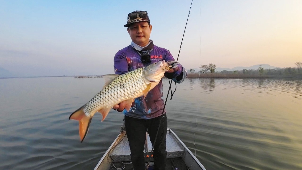 ตกปลาชะโด ปลากระสูบ อ่างเก็บน้ำแม่มอก