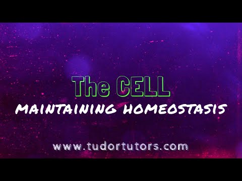 Cells: Maintaining Homeostasis