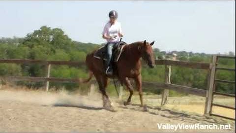 Valley View Ranch - Miss Inwhizable    ***For info, price, etc., go to our website***