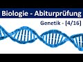Biologie Abiturprüfung 2024 - Aufgaben Genetik [2/2] - [Abitur Biologie, 4/16]