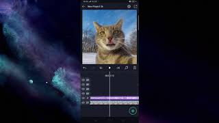 TUTORIAL EDIT JEDAG JEDUG - KUCING BERUBAH JADI BUNDLE FREE FIRE