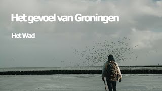 Het Gevoel van Groningen - Het Wad