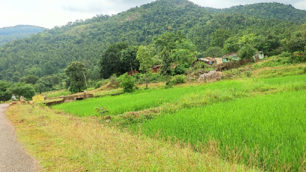 Beautiful local scenery||