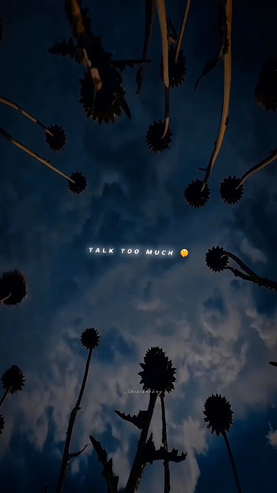 Shape of you x mann mera  - Slowed and Reverbed | Aesthetic Status edit 🌝💫 #shorts