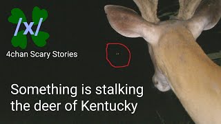 4chan /x/ - Something is stalking the deer of Kentucky