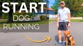 Learn how to start running with your dog - for your fitness and your dog's fitness