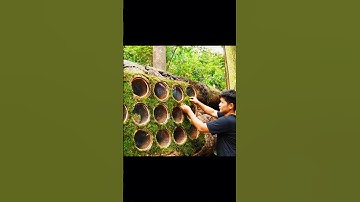 He Built a House Inside a Tree | Jungle Survival.