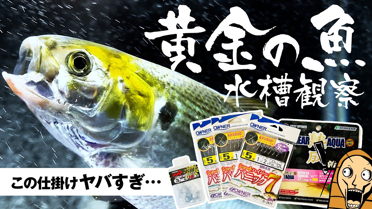 若洲海浜公園】東京湾奥でサビキ釣り(コマセなし)が強すぎた！ 釣った