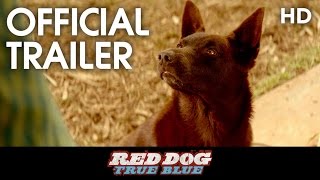 RED DOG: True Blue (2016) Teaser Trailer [HD]