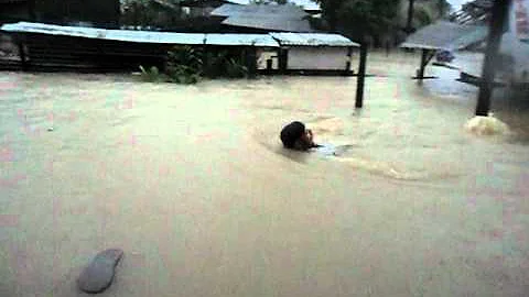 American william cowart's flood experience in the ...