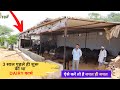 3 साल पहले ही शुरू की था  Dairy फार्म |Tips for a successful dairy farming in India