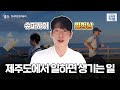 제주도에서 회사다니기 수줍은V Log 오늘의 직캠 EP 5 제주도에서 회사다니기 수줍은V Log 오늘의 직캠 EP 5