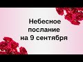 Небесное послание на 9 сентября. Доверьтесь судьбе.