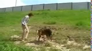 Dog Numa (rip)  with me sweetest video ever