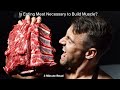 Is eating meat necessary to build muscle