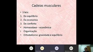 Quais os músculos da cadeia anterior?