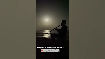 وحيدا بين تلك النجوم GökyüzündeYalnız Gezen Yıldızlar 