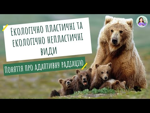 Екологічно пластичні і екологічно непластичні види. Адаптивна радіація