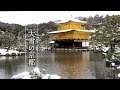 4k snowfall kyoto blanketed in snow as a winter storm hits a wide range of japan 