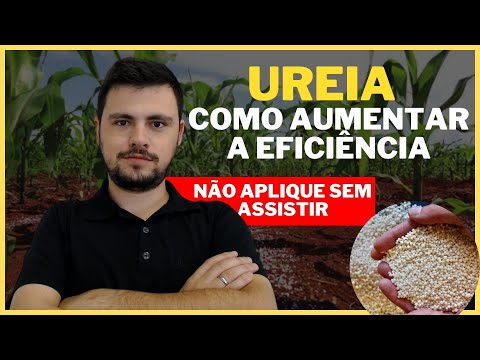 Vídeo: O que é ureia? Vamos torná-lo simples e acessível