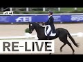 Dressage Day 2 7yo horses I FEI WBFSH Eventing World Breeding Championship for Young Horses 2023