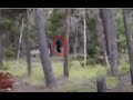 Bigfoot turns  looks at couple from 20 yards at red rocks park