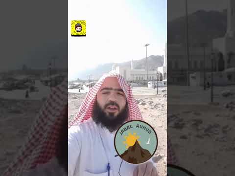 سيرة سيد الشهداء حمزة بن عبد المطلب شهداء غزوة أحد